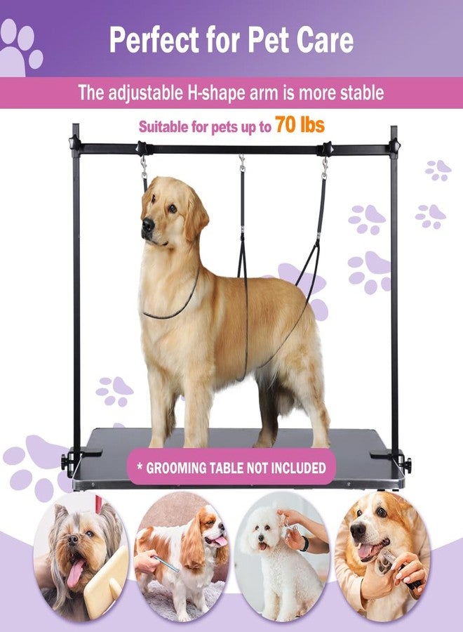 AGESISI H-Shape Dog Grooming Arm with Clamp, Heavy Duty Pet Grooming Table Arm with Loop Noose, 32" Height Adjustable and 34" - 50" Width Adjustable for Large & Medium & Small Pets, Black - Image 4